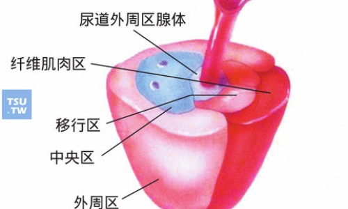 三九养胃舒胶囊说明书-三九养胃舒颗粒说明书网三九养胃舒的副作用知识网站,分享三九牌养胃舒颗粒的药物组成大全